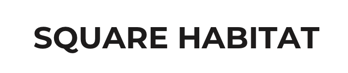 Capture d’écran 2026-03-11 à 15.39.04